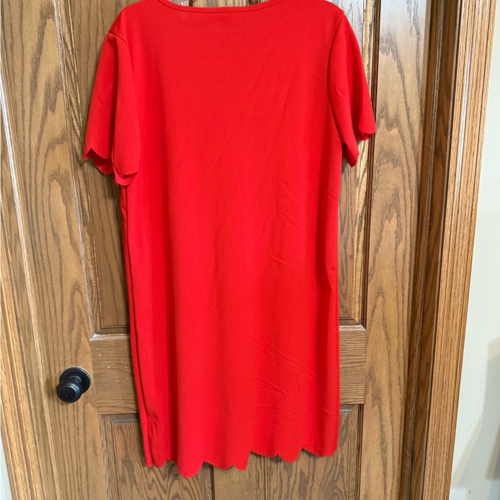 Vibrant Scarlet Scalloped Mini Dress - Picture 4 of 4